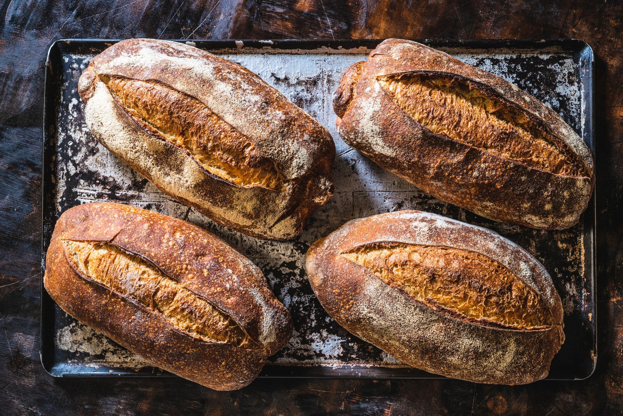 Fresh sourdough loaves in a baking tray