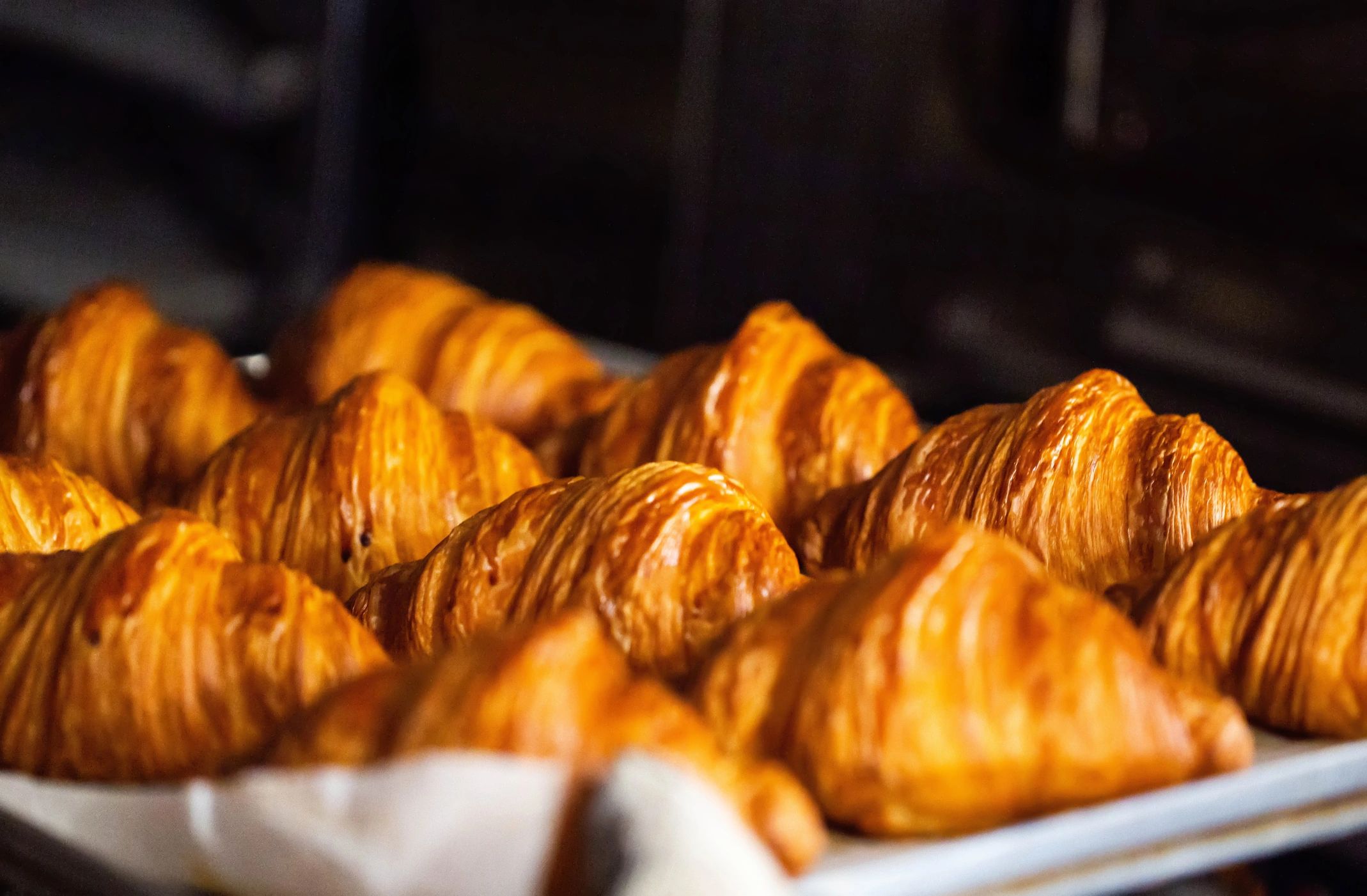 Freshly baked golden croissants arranged on a baking tray